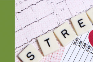 APA Authors Satisfaction Guaranteed