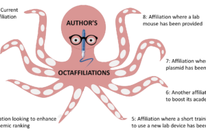 octopus affiliation